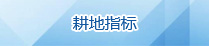 耕地指标