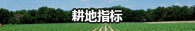 耕地指标